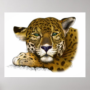Póster Jaguar colored