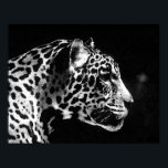 Poster Jaguar Pop Art<br><div class="desc">Posters de Retrato Jaguar Preto e Branco - Imagem Jaguar de Arte Pop - Grandes Impressões de Gatos Selvagens - O Chefe do Jaguar - Face de Jaguar</div>