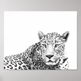 Poster Jaguar preto e branco moderno de 10x8 polegadas