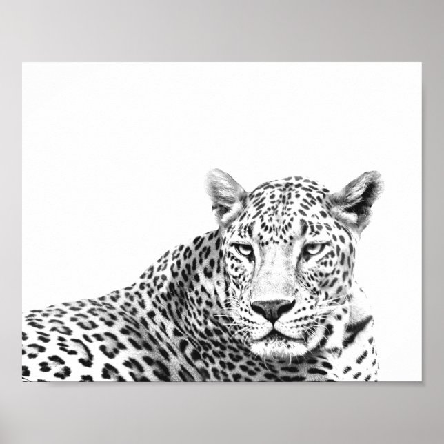 Poster Jaguar preto e branco moderno de 10x8 polegadas (Frente)