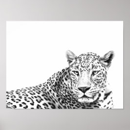 Poster Jaguar preto e branco moderno de 16 x 12 polegadas