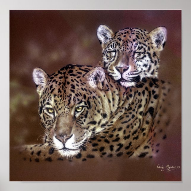 Póster Jaguars (Frente)