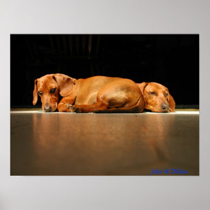Póster Jake & Dillon