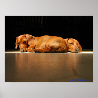 Póster Jake & Dillon