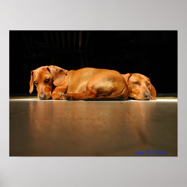 Póster Jake & Dillon (Frente)