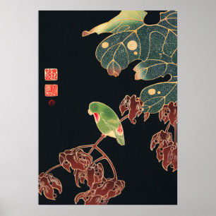 Poster Jakuchu - O Paroquet