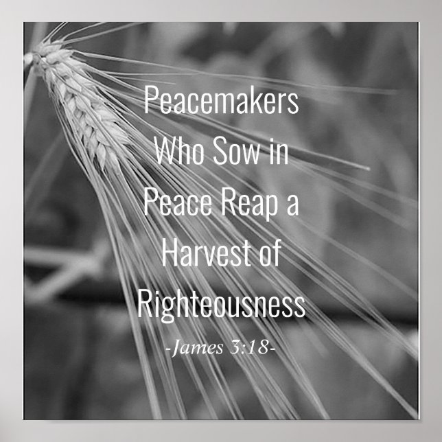 Poster James 3:18 Bíblia Verse Harvest of Righeness (Frente)