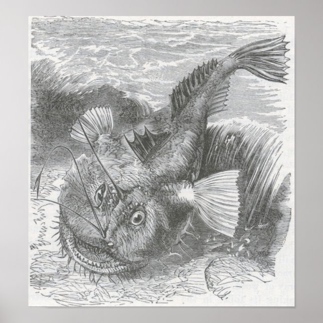 Poster James Johonnot - Angler Fish (Frente)