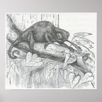 Poster James Johonnot - Chameleon