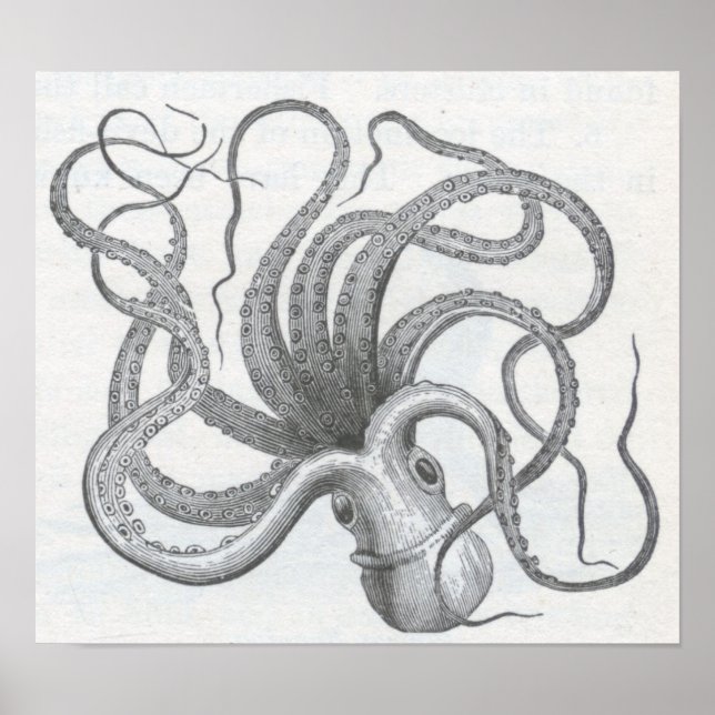 Póster James Johonnot - Octopus (Frente)