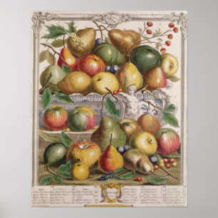 Poster Janeiro, 'doze meses das frutas