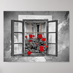 Poster janela-477937 casa flores pretas e brancas