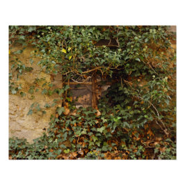 Póster Janela assombrada   