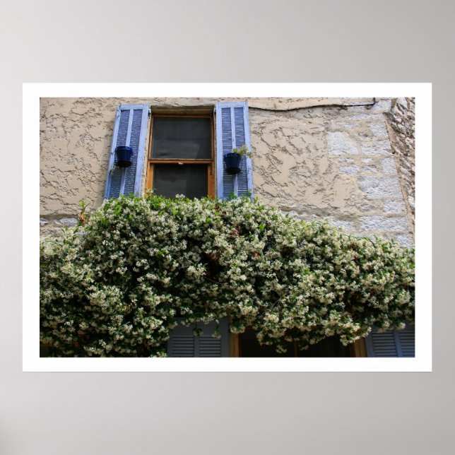 Póster Janela Azul (Frente)