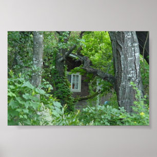 Póster Janela da Natureza