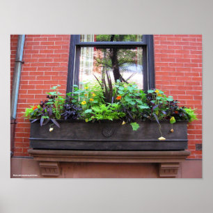 Poster Janela de Brooklyn