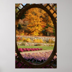 Póster Janela do jardim