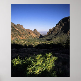 Poster Janela no Deserto