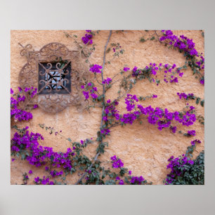 Poster Janela ornamentais com bougainvillea