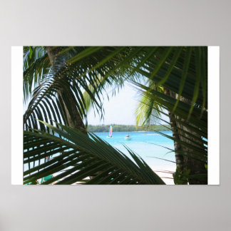 Póster Janela Paraíso