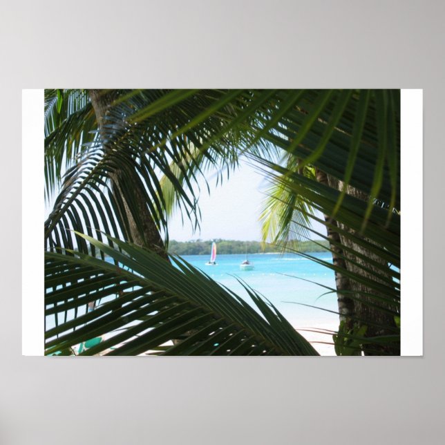 Póster Janela Paraíso (Frente)