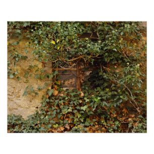 Póster Janela suspensa   