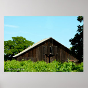 Póster Janelas de Barn