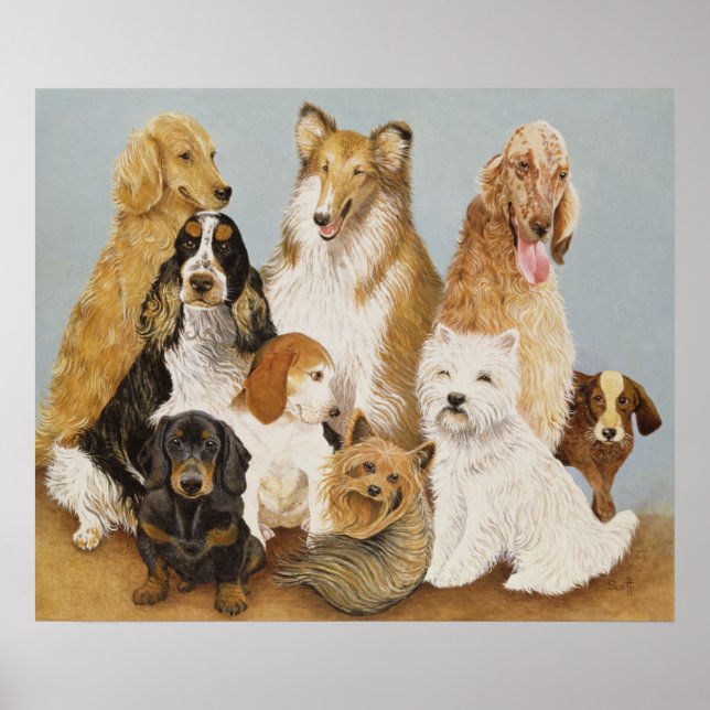 Poster Janto de cães (Frente)