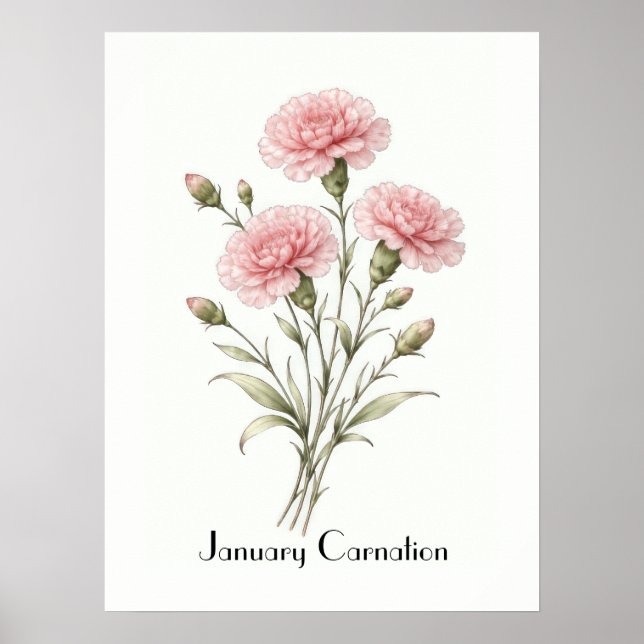 Poster January Carnation Flowers (Frente)