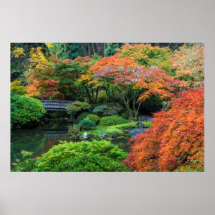 Póster Japanese Gardens In Autumn In Portland, Oregon 3