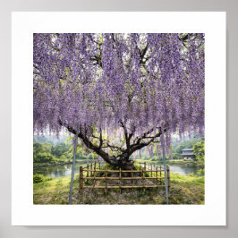 Poster Japanese Wisteria – Art Print