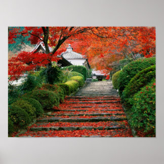 Póster Japão