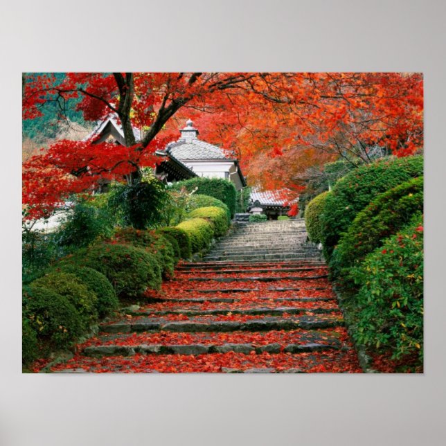 Póster Japão (Frente)