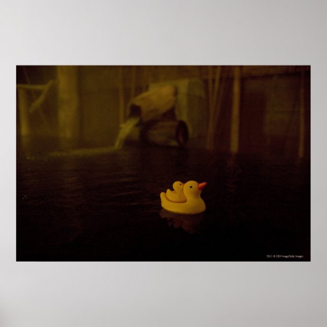 Poster Japão (Frente)