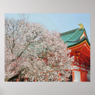 Póster Japão, Quioto. Flor de cerejeira do Xintoísmo