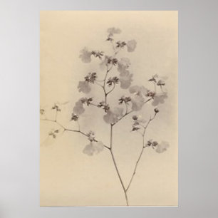 Poster japonês das flores de cerejeira