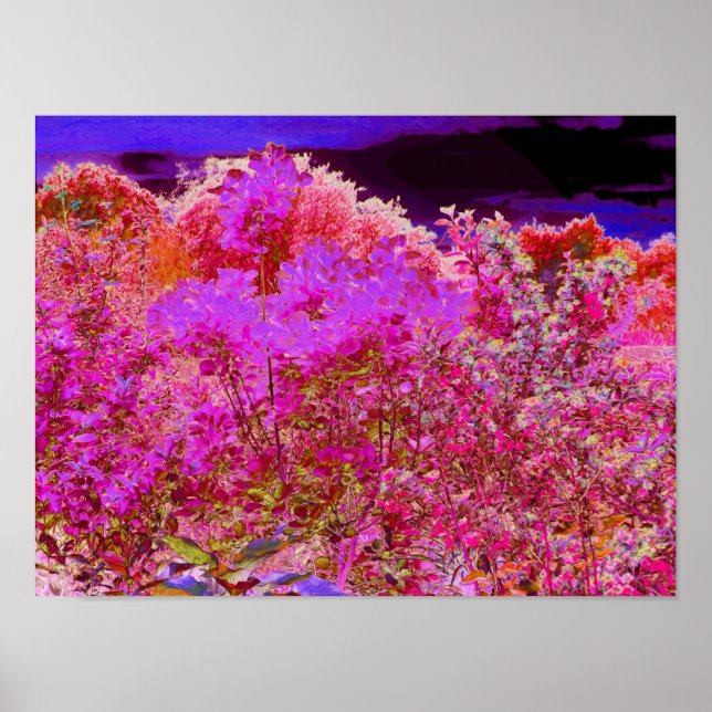 Poster Jardim Abstrato Colorido com Pôr do Sol Roxo (Frente)