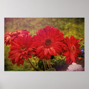 Poster Jardim Antiquado