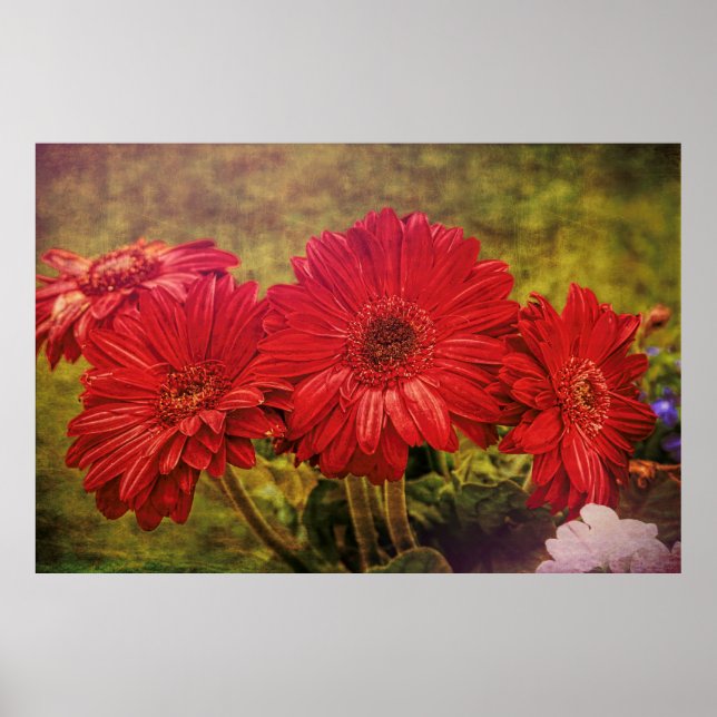 Poster Jardim Antiquado (Frente)