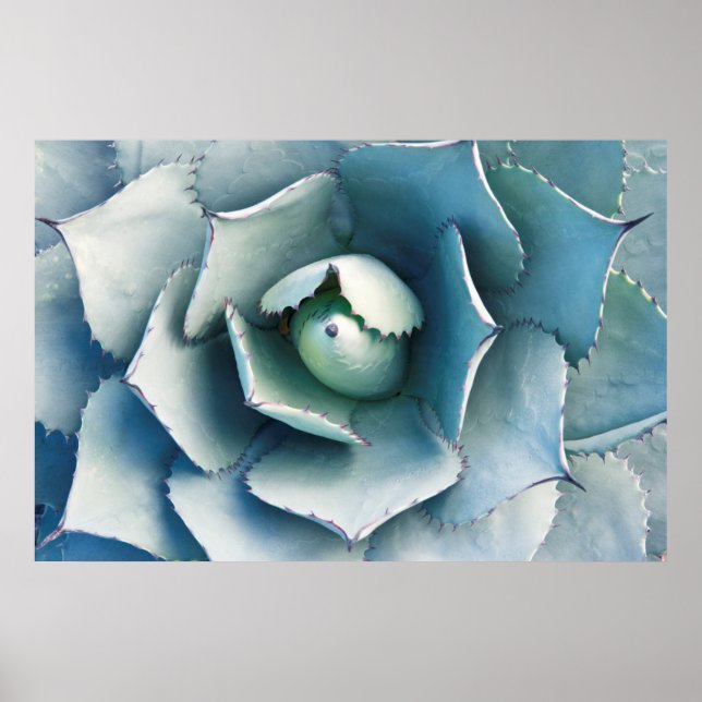 Poster Jardim Botânico de Huntington (Frente)