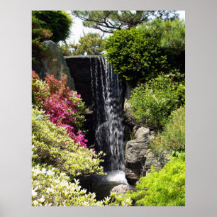 Poster Jardim botânico de Missouri