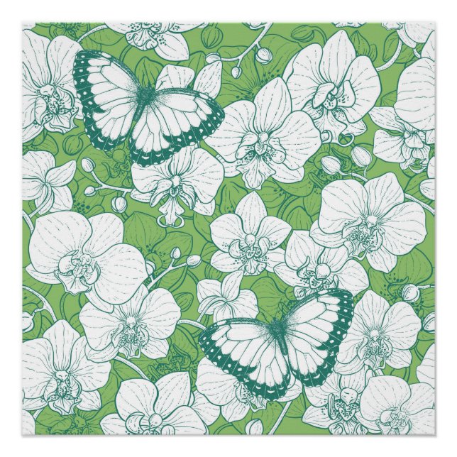 Póster Jardim Botânico de Orquídeas com Borboletas em ver (Frente)