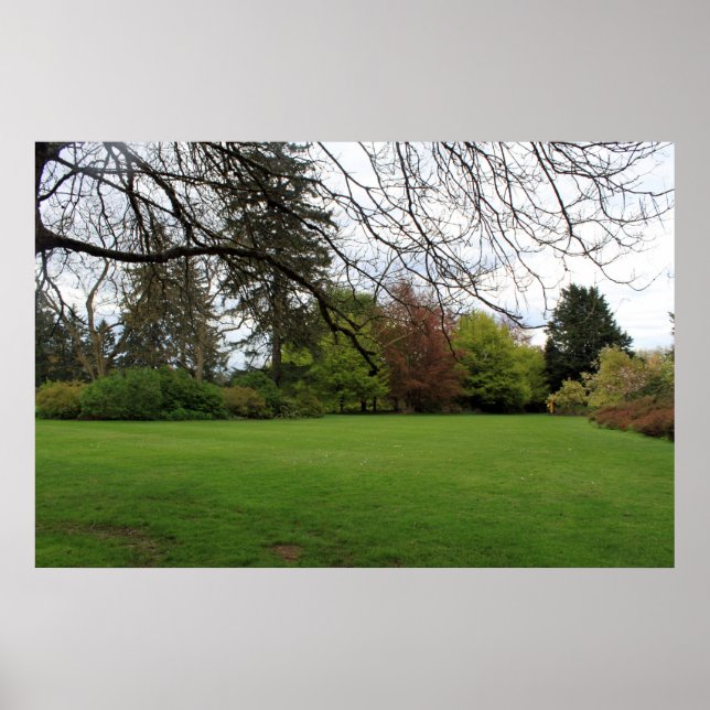 Póster Jardim Botânico de Vancouver Van Dusen (Frente)