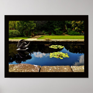 Póster Jardim da escultura