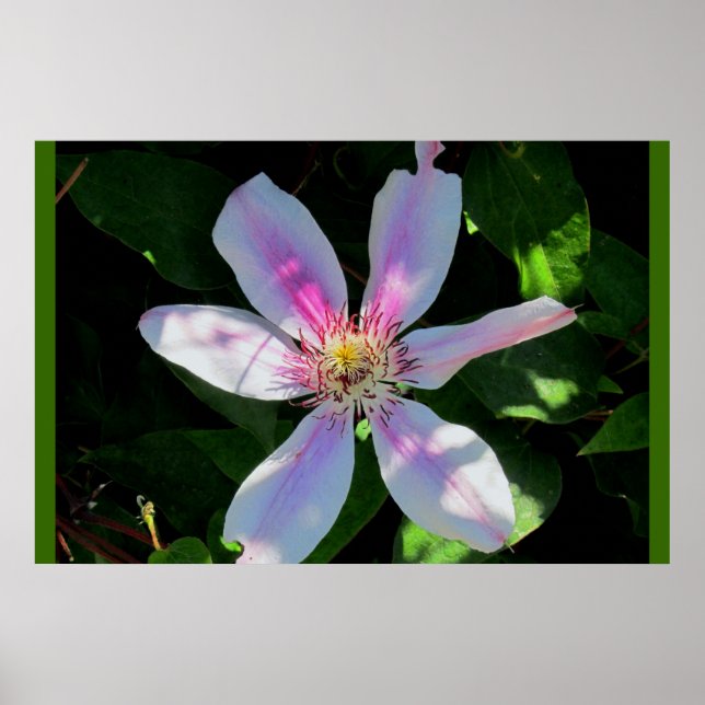 Póster Jardim da Flor de mães (Frente)