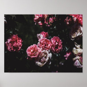 Poster Jardim da meia-noite, arte floral escura