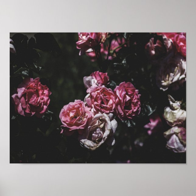 Poster Jardim da meia-noite, arte floral escura (Frente)