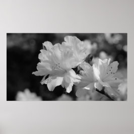 Póster Jardim das Flores