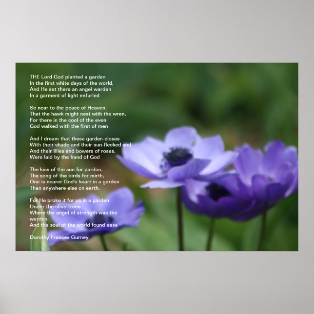 Poster Jardim de Deus (Frente)