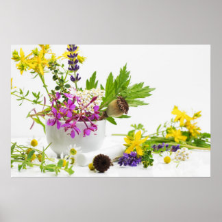 Poster Jardim de erva